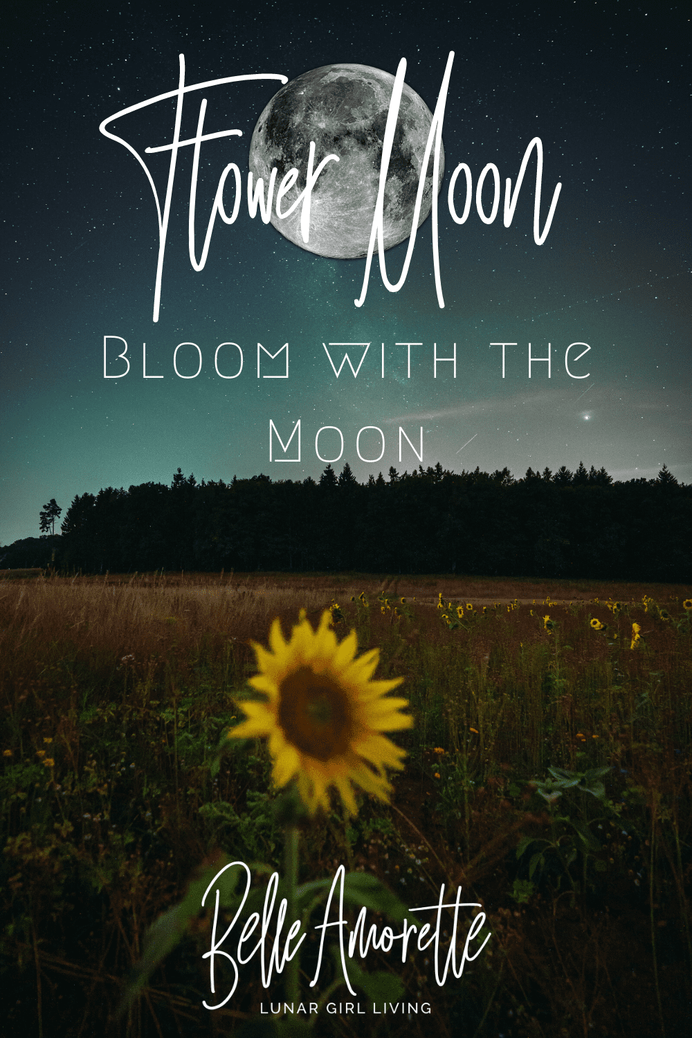 May Flower Moon How To Bloom With The Moon